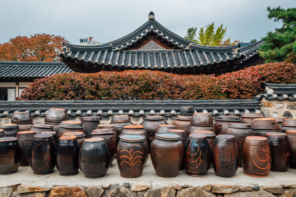 The History of Kimchi